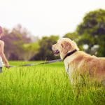 Tips to Keep Your Children Safe from Dog Bites